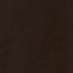 Deep Brown Leather