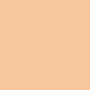 Fossil Matte