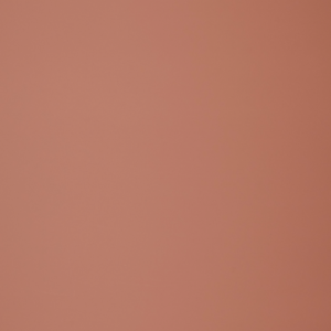 Tawny Orange