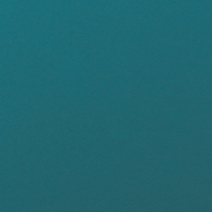 S9 10227T