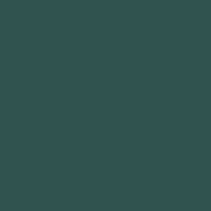 S9 10231T
