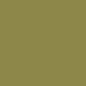 Olive de Provence